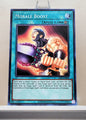 Yugioh! Dark Crisis 25th Anniversary Singles (DCR - Common) Unli Edition