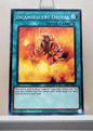 Yugioh! Dark Crisis 25th Anniversary Singles (DCR - Common) Unli Edition