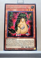 Yugioh! Maze of Muertos Singles (MZMU - Rare) 1st Edition