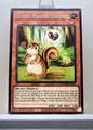 Yugioh! Maze of Muertos Singles (MZMU - Rare) 1st Edition