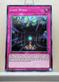 Yugioh! 1x Lost Wind (STP6 - Common) Unli Edition