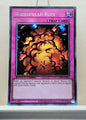 Yugioh! 1x Widespread Ruin (STP6 - Super Rare) Unli Edition