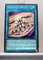 Yugioh! Legendary Modern Decks: Mitsurugi Deck Singles (L26D - Common) 1st Edition