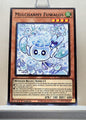 Yugioh! Legendary Modern Decks: X-Saber Deck Singles (L26D - Common) 1st Edition