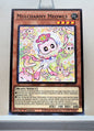 Yugioh! Legendary Modern Decks: X-Saber Deck Singles (L26D - Common) 1st Edition