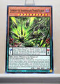 Yugioh! Blazing Dominion Singles (BLZD - Common) 1st Edition