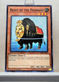 Yugioh! Structure Deck: Zombie Horde Singles (SR07 - Common) 1st Edition