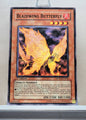 Yugioh! Structure Deck: Warriors' Strike Singles (SDWS - Common) 1st Edition