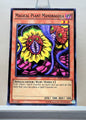 Yugioh! Structure Deck: Spellcaster's Command Singles (SDSC - Common) 1st/Unli Edition