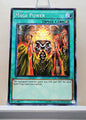 Yugioh! Structure Deck: Spellcaster's Command Singles (SDSC - Common) 1st/Unli Edition