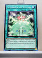 Yugioh! Structure Deck: Order of the Spellcasters Singles (SR08 - Common) 1st Edition