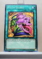 Yugioh! Structure Deck: Order of the Spellcasters Singles (SR08 - Common) 1st Edition