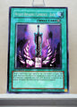 Yugioh! Structure Deck: Warrior's Triumph Singles (SD5 - Common) 1st Edition