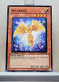 Yugioh! Structure Deck: Lost Sanctuary Singles (SDLS - Common) 1st Edition