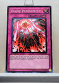 Yugioh! Structure Deck: Lost Sanctuary Singles (SDLS - Common) 1st Edition