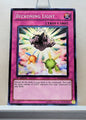 Yugioh! Structure Deck: Lost Sanctuary Singles (SDLS - Common) 1st Edition