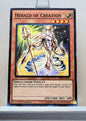 Yugioh! Structure Deck: Rise of the True Dragons Singles (SR02 - Common) 1st Edition