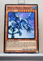 Yugioh! Structure Deck: Rise of the True Dragons Singles (SR02 - Common) 1st Edition