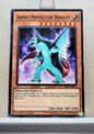 Yugioh! Structure Deck: Rise of the True Dragons Singles (SR02 - Common) 1st Edition