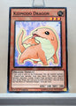 Yugioh! Structure Deck: Rise of the True Dragons Singles (SR02 - Common) 1st Edition