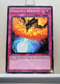 Yugioh! Structure Deck: Rise of the True Dragons Singles (SR02 - Common) 1st Edition