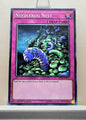 Yugioh! Structure Deck: Rise of the True Dragons Singles (SR02 - Common) 1st Edition