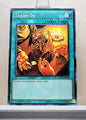 Yugioh! Structure Deck: Rise of the True Dragons Singles (SR02 - Common) 1st Edition