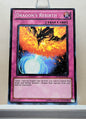 Yugioh! Structure Deck: Dragon's Collide Singles (SDDC - Common) Unli Edition