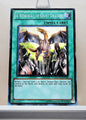 Yugioh! Structure Deck: Dragon's Collide Singles (SDDC - Common) Unli Edition