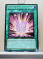 Yugioh! Structure Deck: Dragon's Collide Singles (SDDC - Common) Unli Edition