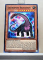 Yugioh! Structure Deck: Dinosmasher's Fury Singles (SR04 - Common) 1st/Unli Edition