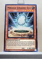 Yugioh! Structure Deck: Dinosmasher's Fury Singles (SR04 - Common) 1st/Unli Edition