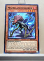 Yugioh! Structure Deck: Dinosmasher's Fury Singles (SR04 - Common) 1st/Unli Edition