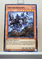 Yugioh! Structure Deck: Dinosmasher's Fury Singles (SR04 - Common) 1st/Unli Edition