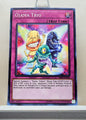 Yugioh! Structure Deck: Dinosmasher's Fury Singles (SR04 - Common) 1st/Unli Edition