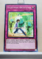Yugioh! Structure Deck: Dinosmasher's Fury Singles (SR04 - Common) 1st/Unli Edition