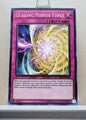 Yugioh! Structure Deck: Dinosmasher's Fury Singles (SR04 - Common) 1st/Unli Edition