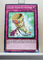 Yugioh! Structure Deck: Dinosmasher's Fury Singles (SR04 - Common) 1st/Unli Edition