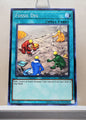 Yugioh! Structure Deck: Dinosmasher's Fury Singles (SR04 - Common) 1st/Unli Edition