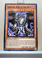 Yugioh! Structure Deck: Lair of Darkness Singles (SR06 - Common) 1st Edition