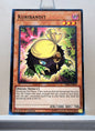 Yugioh! Structure Deck: Lair of Darkness Singles (SR06 - Common) 1st Edition