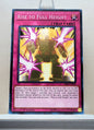 Yugioh! Structure Deck: Lair of Darkness Singles (SR06 - Common) 1st Edition