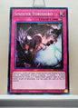 Yugioh! Structure Deck: Lair of Darkness Singles (SR06 - Common) 1st Edition