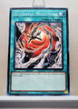 Yugioh! Structure Deck: Lair of Darkness Singles (SR06 - Common) 1st Edition