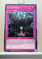 Yugioh! Structure Deck: Shaddoll Showdown Singles (SDSH - Common) 1st/Unli Edition