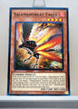 Yugioh! Structure Deck: Soulburner Singles (SDSB - Common) 1st Edition