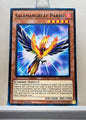 Yugioh! Structure Deck: Soulburner Singles (SDSB - Common) 1st Edition