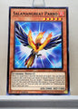 Yugioh! Savage Strike Singles (SAST - Common) 1st/Unli Edition