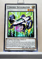 Yugioh! Savage Strike Singles (SAST - Common) 1st/Unli Edition