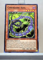 Yugioh! Legendary Duelists Singles (LEDU - Common) 1st Edition